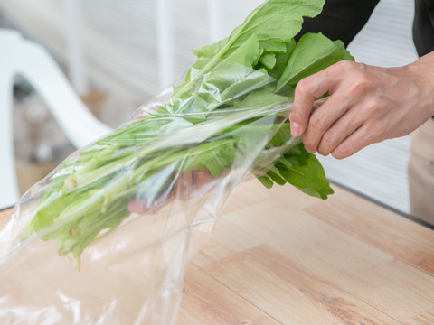 野菜セット【太陽の光を浴びました！】
