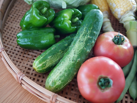 【旬の野菜セット・8種】群馬・六合の伝統野菜や幻の419キャベツ等