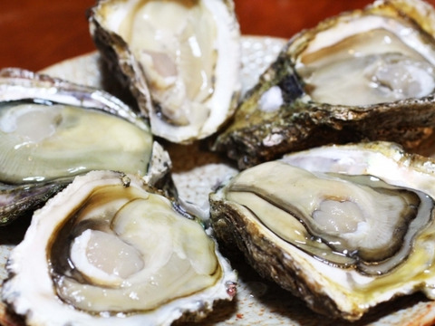三重県産 生食用 天然 岩牡蠣 （約3kg前後）（約6～8個前後）
期間限定販売 牡蠣 貝類 海鮮バーベキューに BBQ