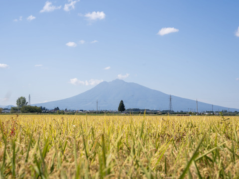 特別權之丞米【まっしぐら】玄米5kg