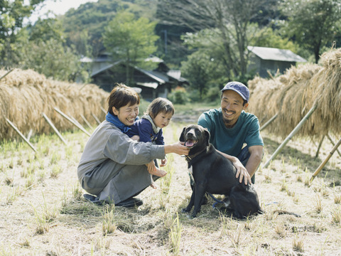 熊本在来米「穂増」　自然栽培（天日干し）玄米　20kg
