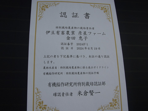 完売しました【農薬化学肥料栽培期間中不使用】🐞生落花生おおまさり＊4㎏＊2024年9月より限定販売