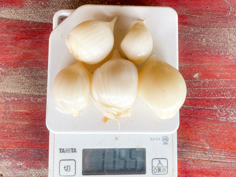 ✨大人気✨ 宮城県産 ジャンボニンニクの種　20kg _1024_230605234114.webp