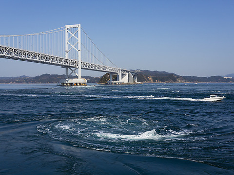 【生そのまま急速冷凍】鳴門わかめ/徳島県鳴門産/1kg/塩なし/わかめ100％【冷凍】