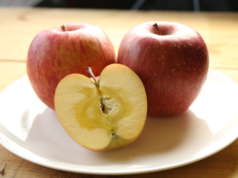 【冬ギフト】贈答用・葉とらずふじ&シナノゴールド パリパリ食感でおいしい組み合わせ！ 5kg（12〜20個）