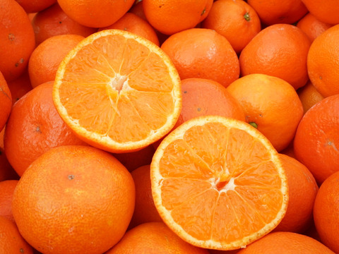 コクのある甘さ！　山下紅　（ご家庭用５㎏）