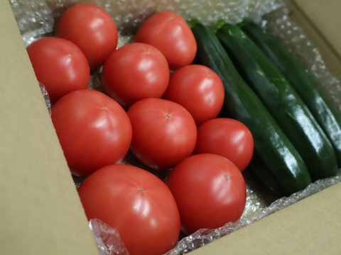 トマトと規格外ズッキーニセット　約1.5㎏