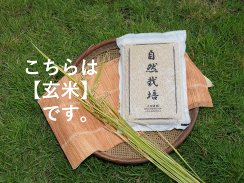 ★2020新米★【名水に育まれた自然栽培米】『元田旭』玄米   5㎏