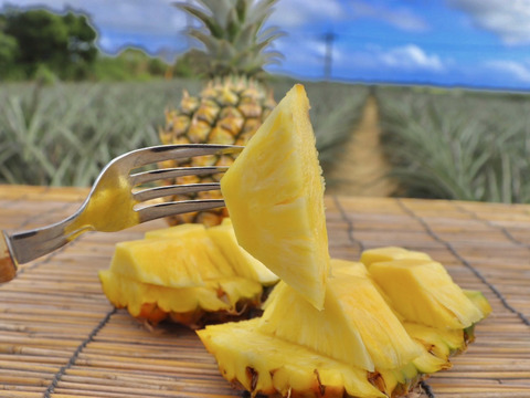 【ピーチ•スナックパイン果汁50%使用❣️】石垣島のパイン農家が作る完熟パイナップルのスッキリ爽やかジェラート🍧6個セット！！