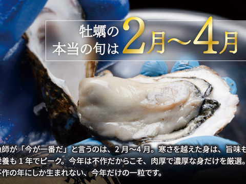 【春牡蠣】身入りMAX！江田島産 殻付き牡蠣 一番美味しい旬を堪能◆