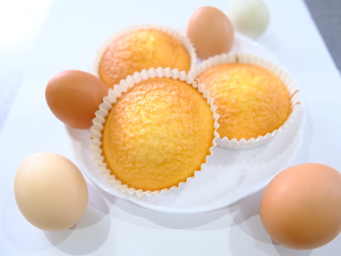 母の日ギフト（メッセージカード付き）熊本県南阿蘇村の自社農場で育てた平飼い卵をたっぷり使った『マドレーヌ（10個）セット』