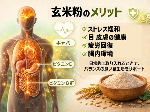 玄米粉ミズホチカラ パン用 9kg (900g x 10袋)  2025年 新米の米粉  国産 玄米粉 グルテンフリーほのかに甘みのある寒冷地栽培 岡山の雪国 ひるぜん高原産