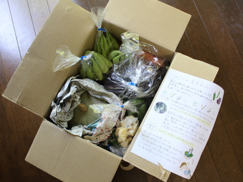 肌つや野菜セット（おまかせ３～５種類）栽培期間中は農薬不使用