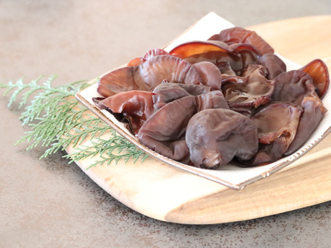 プリプリ肉厚な生きくらげ