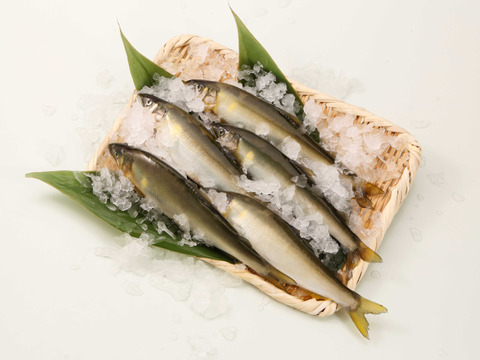 【冬ギフト】　紀州仕立て鮎のバラエティセット