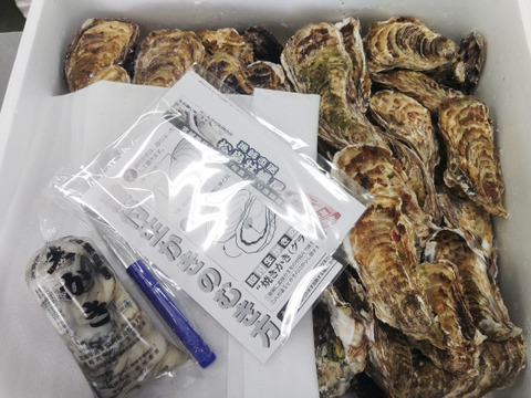 【水産庁補助事業 送料無料】剥き身セット🚚13.3kg 予約販売 【1/7～発送スタート】生牡蠣🦪生食用むき身300g+殻付き牡蠣普通サイズ １３kg（目安78-208個）松島牡蠣屋