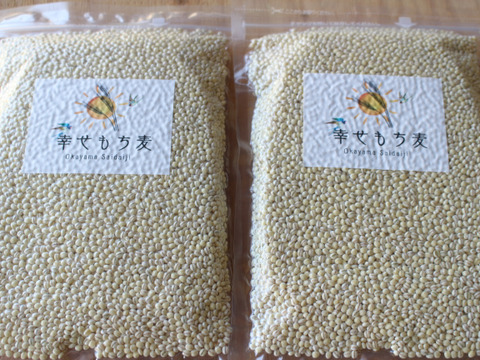 令和6年産　もちっプチっ食感が癖になる！岡山西大寺幸せもち麦（2kg（１ｋｇ×２））