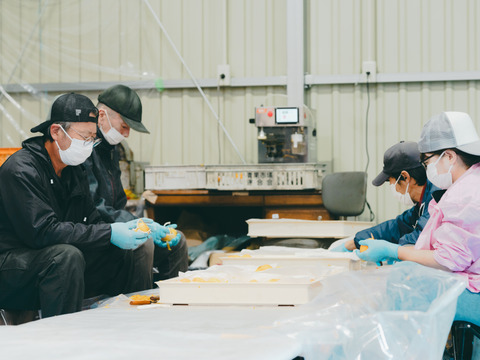 干し柿食べ比べセット8玉