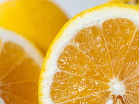 🍊今が旬！！🍊【御家庭用】　2.5㎏　天晴晩柑！（河内晩柑）