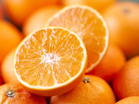 箱込約1㌔×２　マドンナ＆甘平　食べくらべセット　愛媛県オリジナルドリームタッグ　他ではないこの組み合わせ　生産者の匠の技と技術の結晶　この感動的な衝撃的なおいしさ