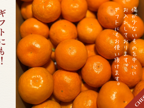 【ゆら早生】箱込み3キロ　Sサイズ ギフトにも！　有田みかん　極早生　低農薬　【冬ギフト】