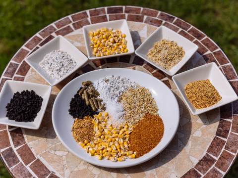 超稀少な初たまごSSサイズ108個入り（破損補償10個含む）【ひなたまこっこ 美味しい 卵焼き たまごかけごはん 卵 九州 送料無料 九州産 熊本産 新鮮】