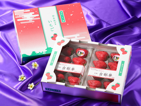 完熟いちご 古都華” 8～15粒（270～320ｇ）×2パック　一般ケース入り