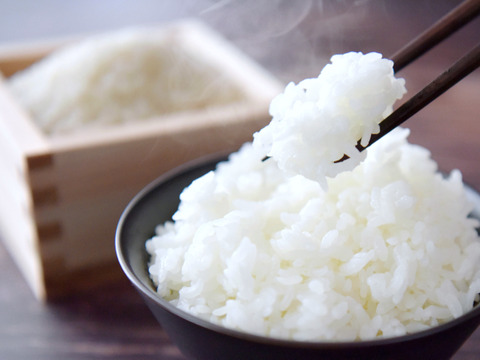 甘くてもっちり🍙✨きらほ 5㎏ 特別栽培米〔無洗米/上白米/分づき/選べます〕