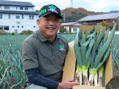 【農薬節減】とろける甘さ 極太下仁田ネギ（Lサイズから2L以上を18本）
