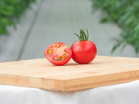 ＜甘さと酸味の絶妙なバランス＞フルーツトマト「フルティカ」1kg×1箱 ～お試し価格！ぜひ一度ご賞味ください～
