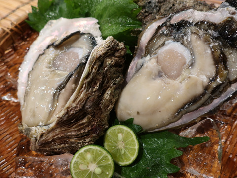 今だけ１個増量 シーズン到来 ぷりっとミルキーな 岩牡蠣 徳島県産 超特大サイズ８個 徳島県産 食べチョク 農家 漁師の産直ネット通販 旬の食材を生産者直送