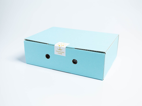 朝摘みフレッシュ！「とちあいか」2パック