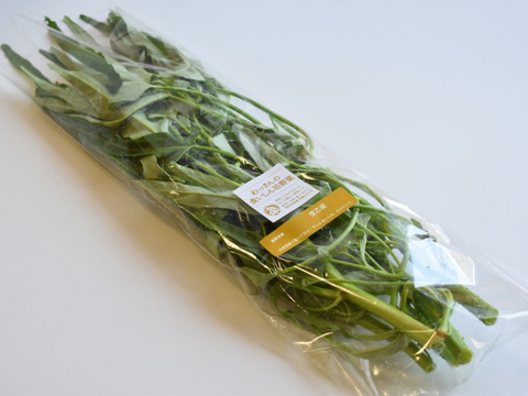 和らぎ農法 空芯菜（1束）：滋賀県産のその他葉物野菜｜食べ