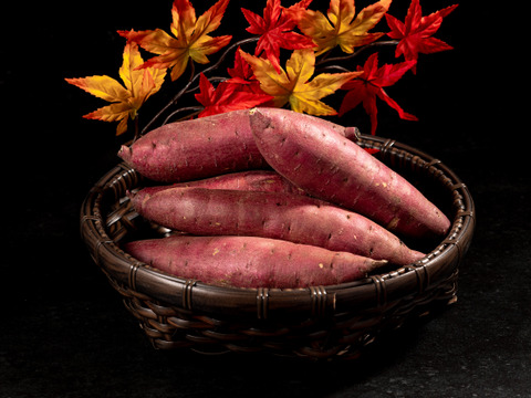 【北海道産】琥珀干し芋 《100g×6袋》