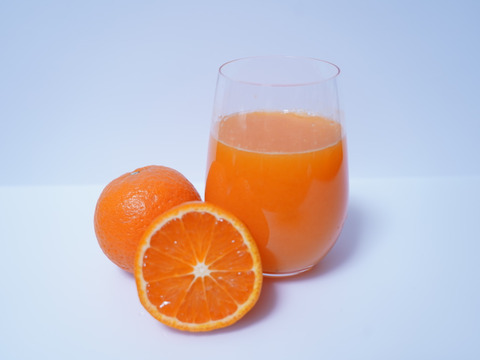 ［3.5kg］希少柑橘「農6号」　＼カットフルーツやジュースでどうぞ／　”中間母本農6号”　のうろく・機能性成分・柑橘類・唐津