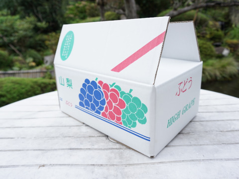 平井利右衛門の黒ぶどう（ブラックビート/2房）