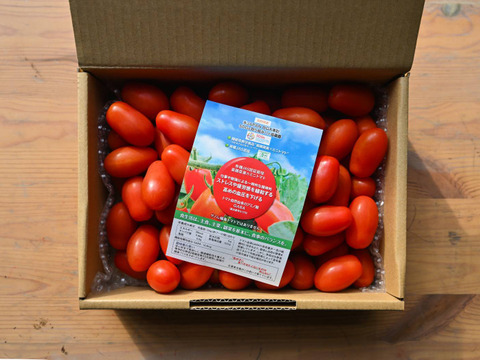 大特価 イラスト 日本初有機JAS栽培した機能性表示ミニトマト1kg：長野県産の 野菜