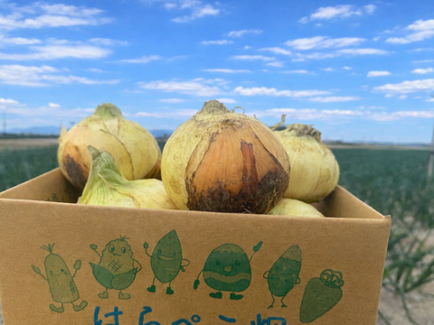 サラダで焼きで！あなた史上『1番美味しい玉ねぎ』になりたい【オニまる】約5キロ入