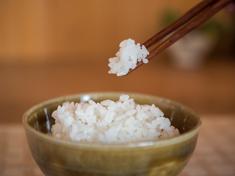 【完売御礼】R2年度/自然栽培米 白米 ISATOの3種食べ比べセット(数量限定)