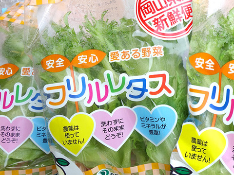 安全・安心・愛ある野菜 フリルレタス