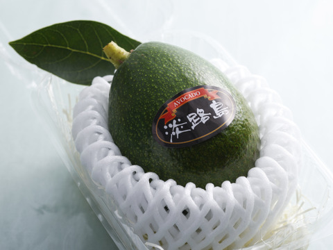 淡路島産！６年かけて育てた貴重なアボカド『エドラノール』。お塩で食べて欲しい美味しさです。