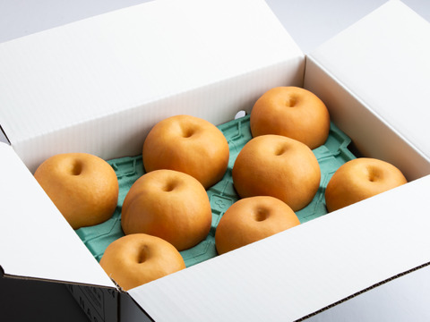 濃厚な甘さと瑞々しさが絶賛の【梨：幸水】9～5個程度（3㎏程度）