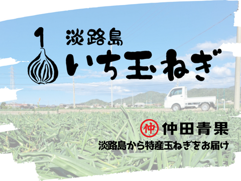 【野菜ソムリエサミット金賞🏆】淡路島新玉ねぎ5kg