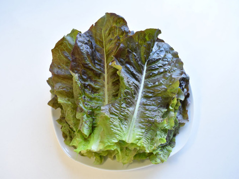 和らぎ農法　チマサンチュ（1袋）