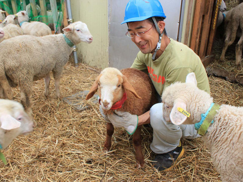北海道産の羊肉ベーコン１５０ｇと羊乳ブルーチーズ２４０ｇ