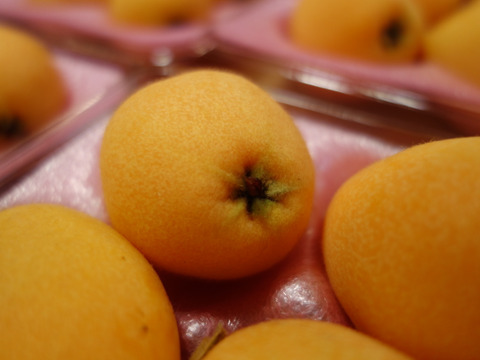 みずみずしい甘さは初夏の味！長崎市産露地びわ「千々（ちぢ）んびわ」１ｋｇ小ぶりなＭサイズ（32玉）・お求めやすいお値段でご提供