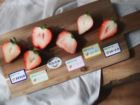 令和4年度 農林水産大臣賞受賞！お家でいちご狩り気分♪いちご最大6品種（3品種以上保障）食べ比べセット計6パック（約230 g × 6パック　計約1.4 ㎏）【いちご食べ比べ】