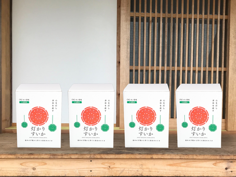タネから育てた 農薬化学肥料を一切使っていない 小玉 スイカ　 ＊得用箱＊　 2～2.5kg  １個入　ｘ　４箱