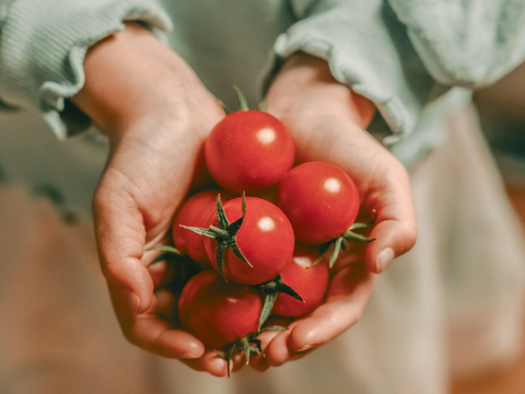 【大人気ギフト♪】極甘高糖度フルーツトマト「ポモロッサ」（15粒入り）