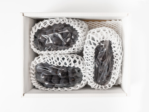 【贈答用】 岡山県産ニューピオーネ 3房　予約販売！8月下旬より順次発送致します。